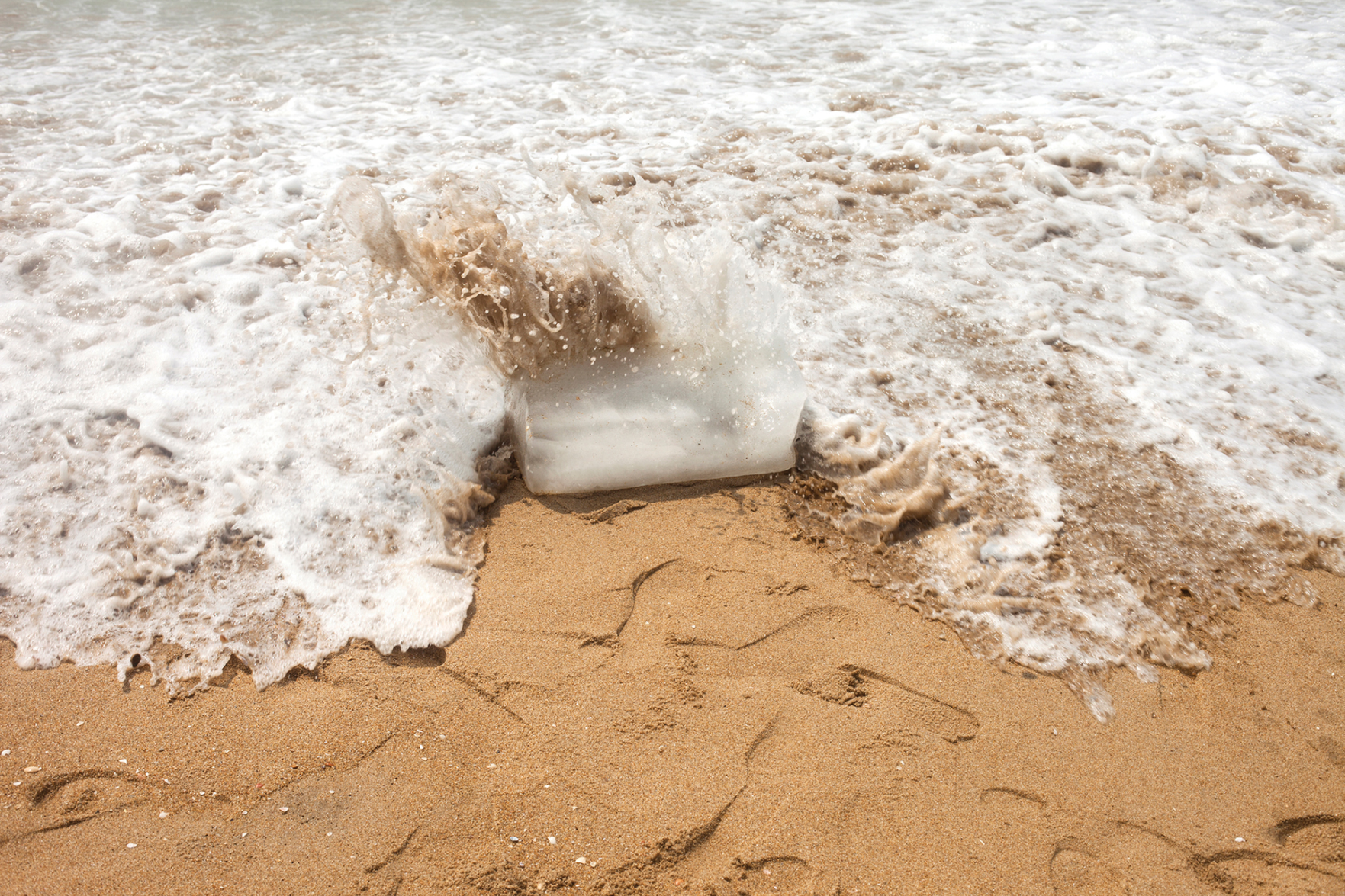 Girls on Film: How a Group of Photographers Is Bringing Accolades to Nashville